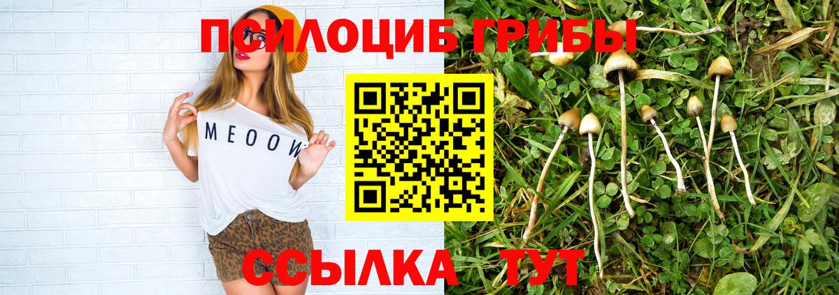 Галлюциногенные грибы ЛСД Усть-Джегута