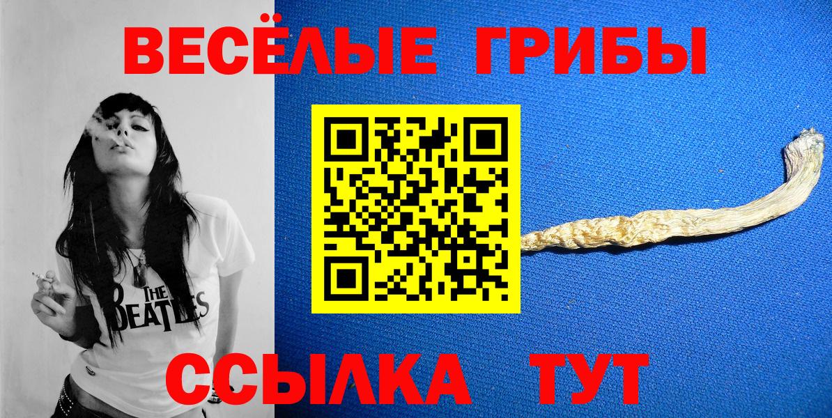 Усть-Джегута  Галлюциногенные грибы Cubensis  Вход с VPN 
